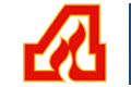 Atlanta Flames logo