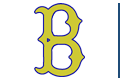 Boston Bees logo
