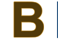 Brooklyn Bridegrooms logo