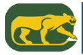 Chicago Cougars logo
