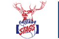 Chicago Stags logo