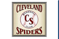 Cleveland Spiders logo