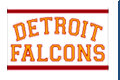 Detroit Falcons logo