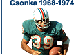 Miami Dolphins player