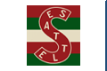 Seattle Metropolitans logo