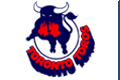 Toronto Toros logo
